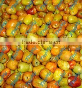 Dates Pitting Machine thumbnail-1