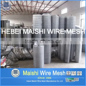 Golden Supplier Welded Wire Mesh thumbnail-3