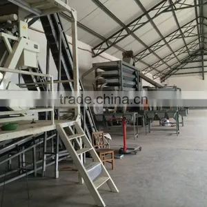 Peanut Grader Processing Production Line thumbnail-1