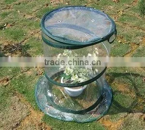 PVC Cover Greenhouse thumbnail-1
