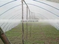 PE Plastic Film for Greenhouse/mulch/construction thumbnail-1