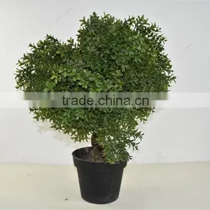 SJ041116 Small Bonsai Ball Plant Topiary Tree for Indoor Decoration thumbnail-1