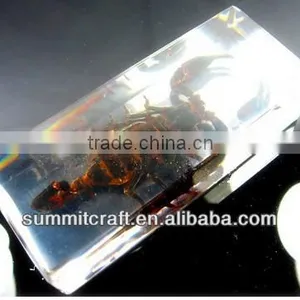 Acrylic Resin Scorpion Paperweight Wholesale thumbnail-1
