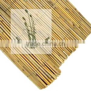 Reed Fence thumbnail-1