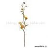 Sell Dried Flowers thumbnail-1
