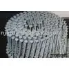2.5*45 Screw Shank HDG Coil Nails thumbnail-1