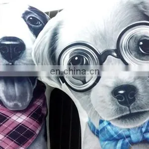 2016 Fashion Cheap Plush 3d Printing Home Decorative Dog Pillow thumbnail-6
