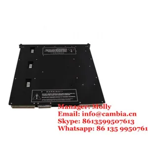 Triconex 9662-110 thumbnail-4