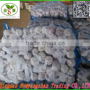 Not the Best;Only Better!Pure White Garlic/white Garlic Exports thumbnail-1