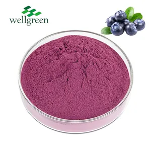 FREE SAMPLE Health Supplement Anthocyanin Beverage Natural Blueberry Concentrate Juice Powder thumbnail-1