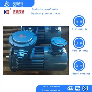 YFBX3 Dust Explosion-proof Motor thumbnail-5