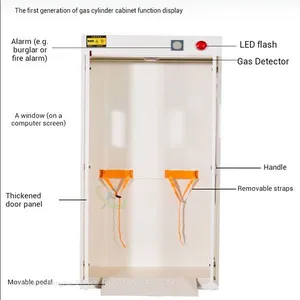High-Precision Gas Storage Cabinet-GSC938 With Dual Sensor Linkage & Integrated Controller for Quality Control Lab-China Factory Serving US thumbnail-3