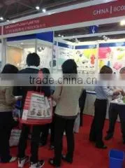 Guangzhou Newayflash Electronic Technology Limited company overview - view 2 thumbnail