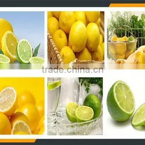 Commercial Onion Slicer Cutter thumbnail-3