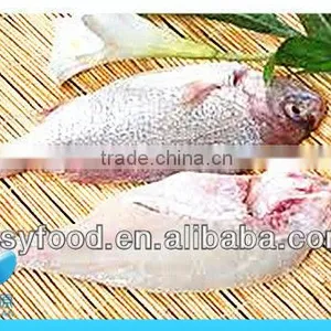 Supply New Catching Fresh Whole Seabream Fish thumbnail-3