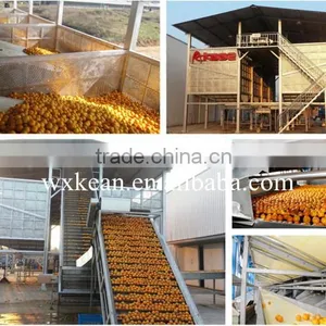 Turnkey Project Industrial Orange Juice Plant thumbnail-1