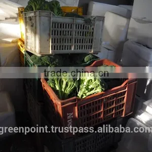 Broccoli thumbnail-4