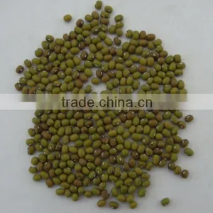 Good Mung Beans thumbnail-1