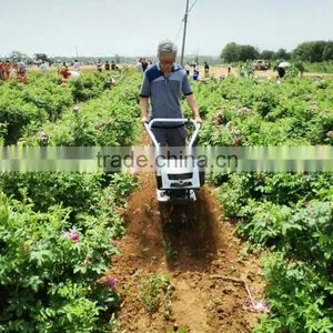 Tractors for Sale Used for Canola Mini Hand Tractor Land Plowing Machine thumbnail-3