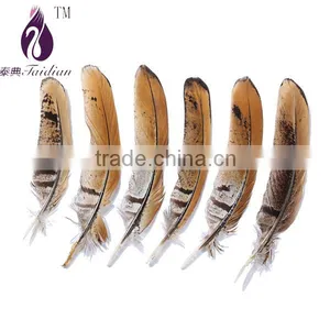 Natural Color Revees Pheasant Chicken Feathers thumbnail-1