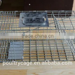 Large Live Animal Cage Traps For Sale Cheap thumbnail-6