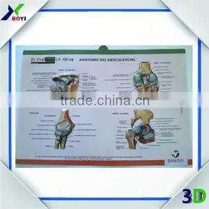 High Definition 3D Embossed Plastic Medical Wall Posters, OEM 3D Anatomical Charts thumbnail-1