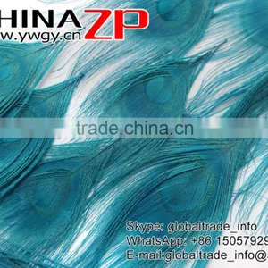 CHINAZP Wholeasale Top Selling Special Colors Dyed Turquoise Trimmed Short Peacock Feathers for Girls thumbnail-4