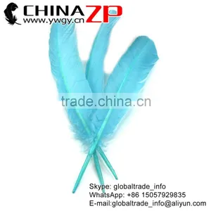 CHINAZP Feather Exporting Good Quality Dyed Light Blue Wild Solid Color Turkey Pointers Wing Quill Feathers thumbnail-1