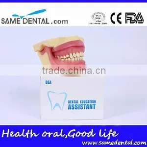 NISSIN Anesthesia Extraction Model School Teaching Demonstration thumbnail-5