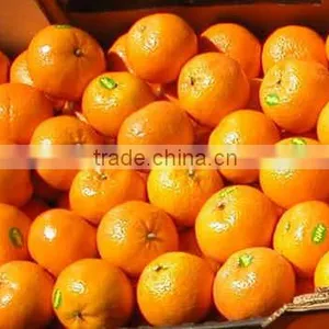 Fresh Mandarin thumbnail-2