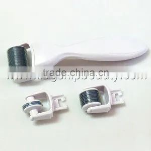 2016 Flagship ! Wholesale Home Use 3 in 1 Micro Derma Roller Kit thumbnail-4