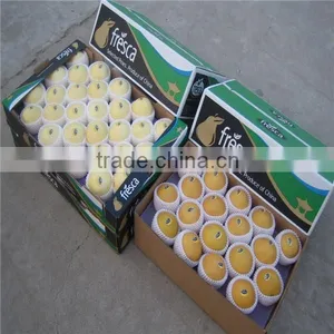 High Quality Singo Pear From Shandong thumbnail-3