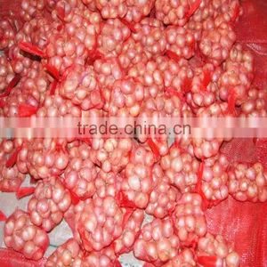 Fresh Onion Supplier Manufacturer thumbnail-1