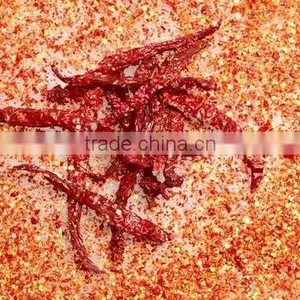 S17 / Teja Chilli thumbnail-5