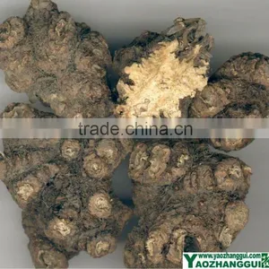 Ligusticum Wallichii thumbnail-1