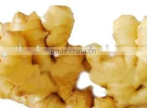 Bulk Selling Ginger Price in China thumbnail-5