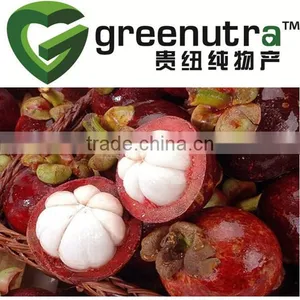 Mangosteen Rind Extract Polyphenols Mangostin thumbnail-1