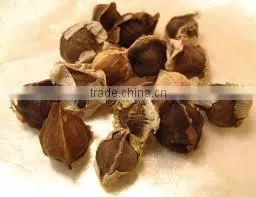BUY Natural & Pure Moringa Oil / Moringa Seed Oil thumbnail-1