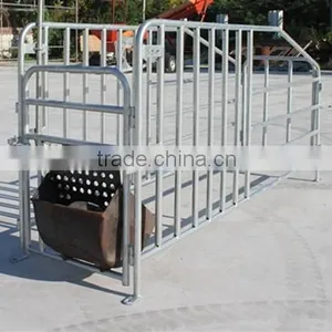 Poultry Farm Machinery Gestation Crates Stalls For Pigs thumbnail-2