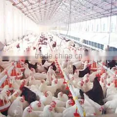 Qingzhou Bangchi Machinery Equipment Co., Ltd. company overview - view 3 thumbnail