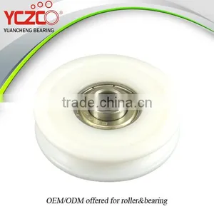 Track and Shaves Track Costomized Sliding Roller thumbnail-1