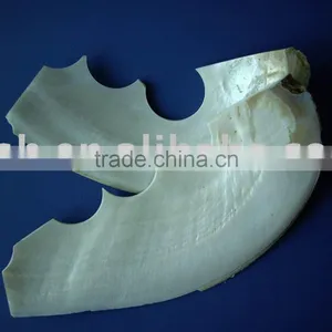 White Shell Scrap thumbnail-1
