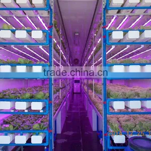 Greenhouse of Single Container Plant Factory thumbnail-1