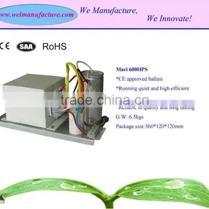 600w Hps Grow Light thumbnail-1