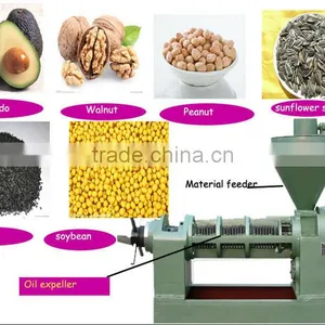 Factory Price Almond Oil Making Machine/almond Oil Expeller thumbnail-2