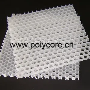 Uniform PP Honeycomb Core for Water Disfusser in Medical Equipment thumbnail-2