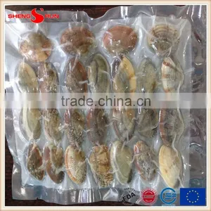 Vacuum -packed Short Necked Clam in Shell thumbnail-6