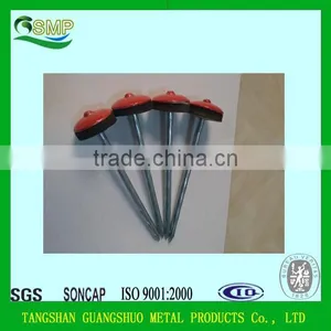 Umbrella Head Roofing Nail/Galvanized Roofing Nails With Washer thumbnail-5