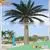 Best Selling Products Large Outdoor Artificial Palm Trees Tropical Plants Life Size Artificial Trees thumbnail-1