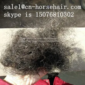 Horse Hair thumbnail-3
